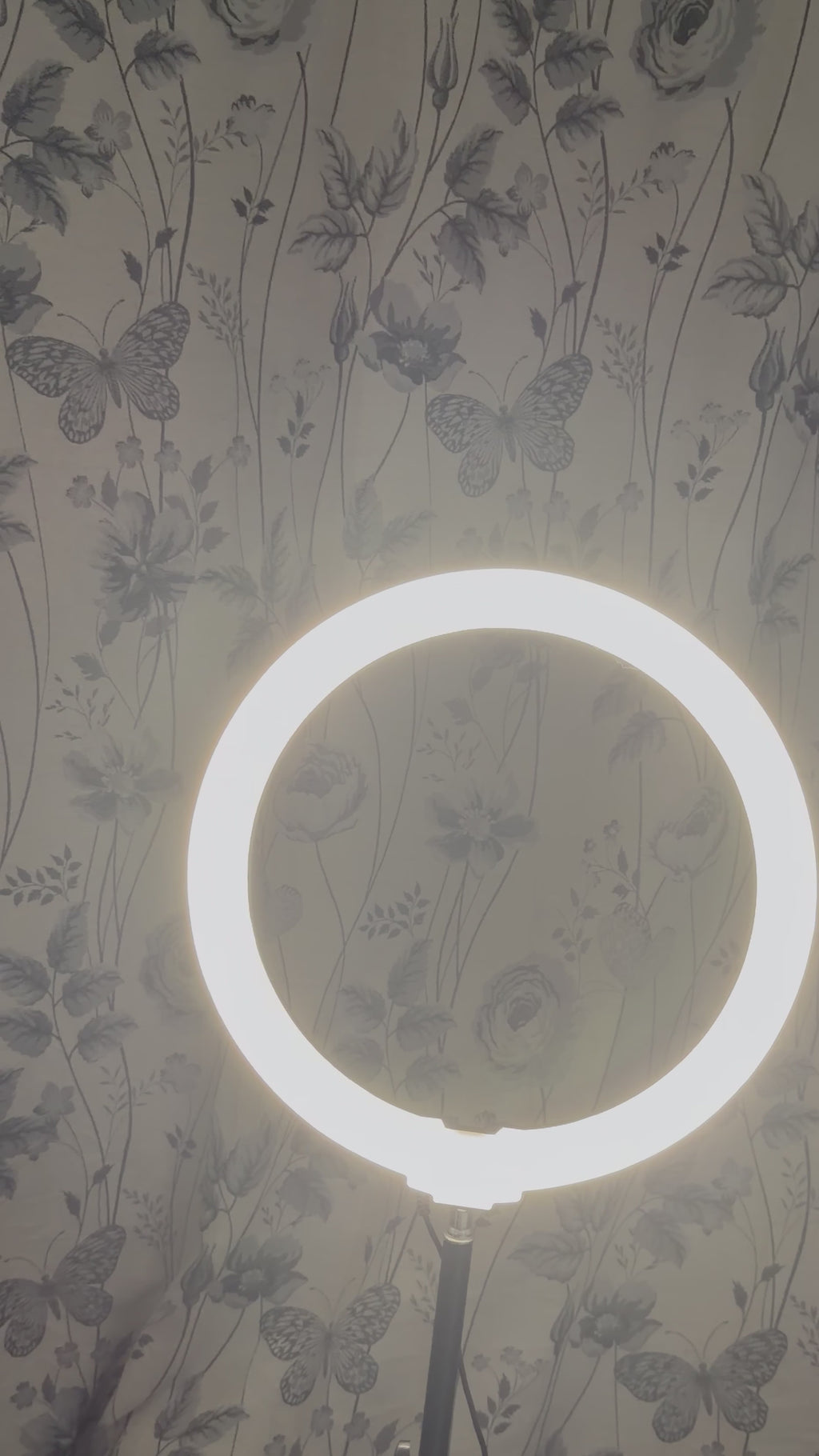 Ring Lights !