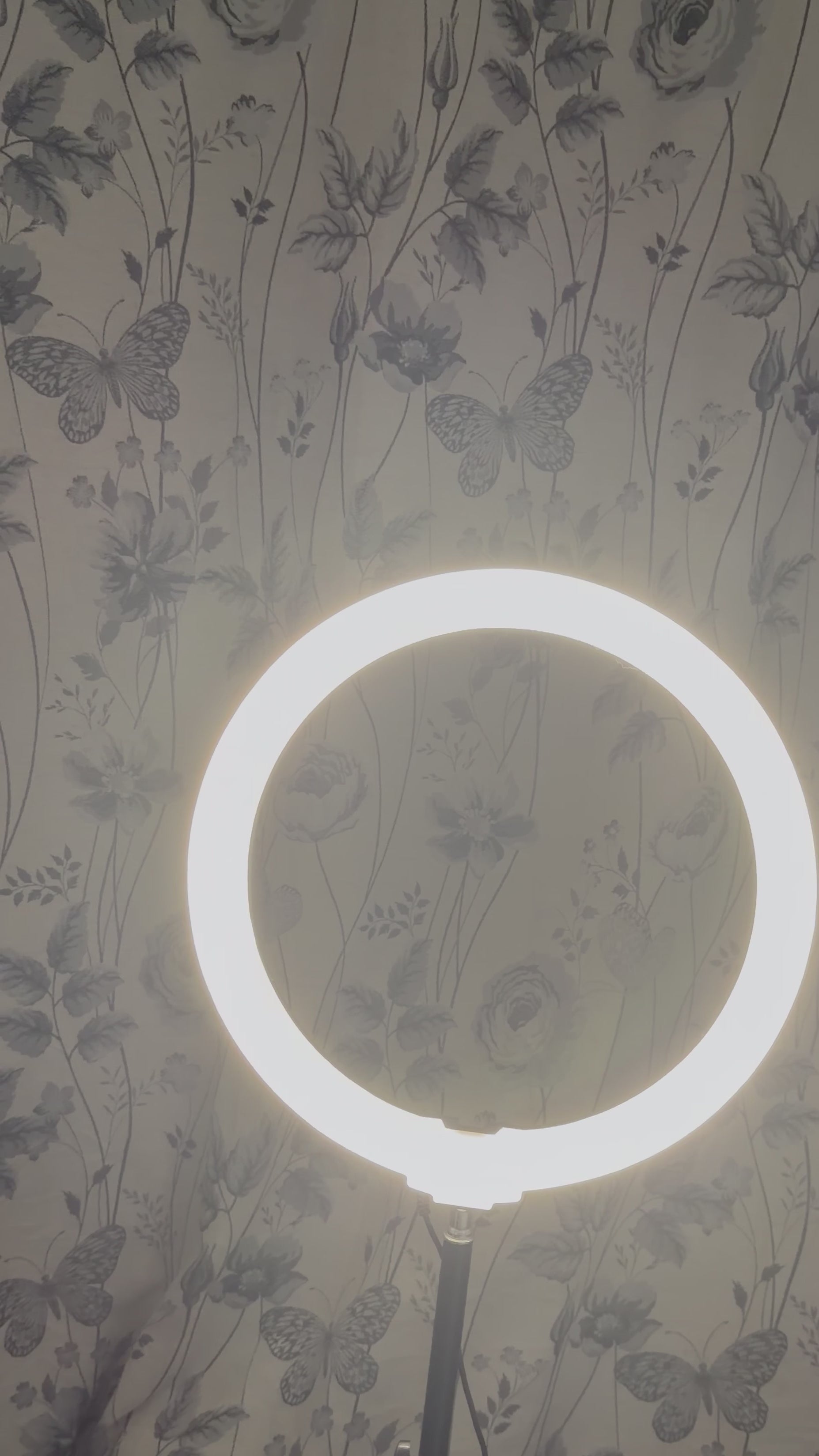 Ring Lights !